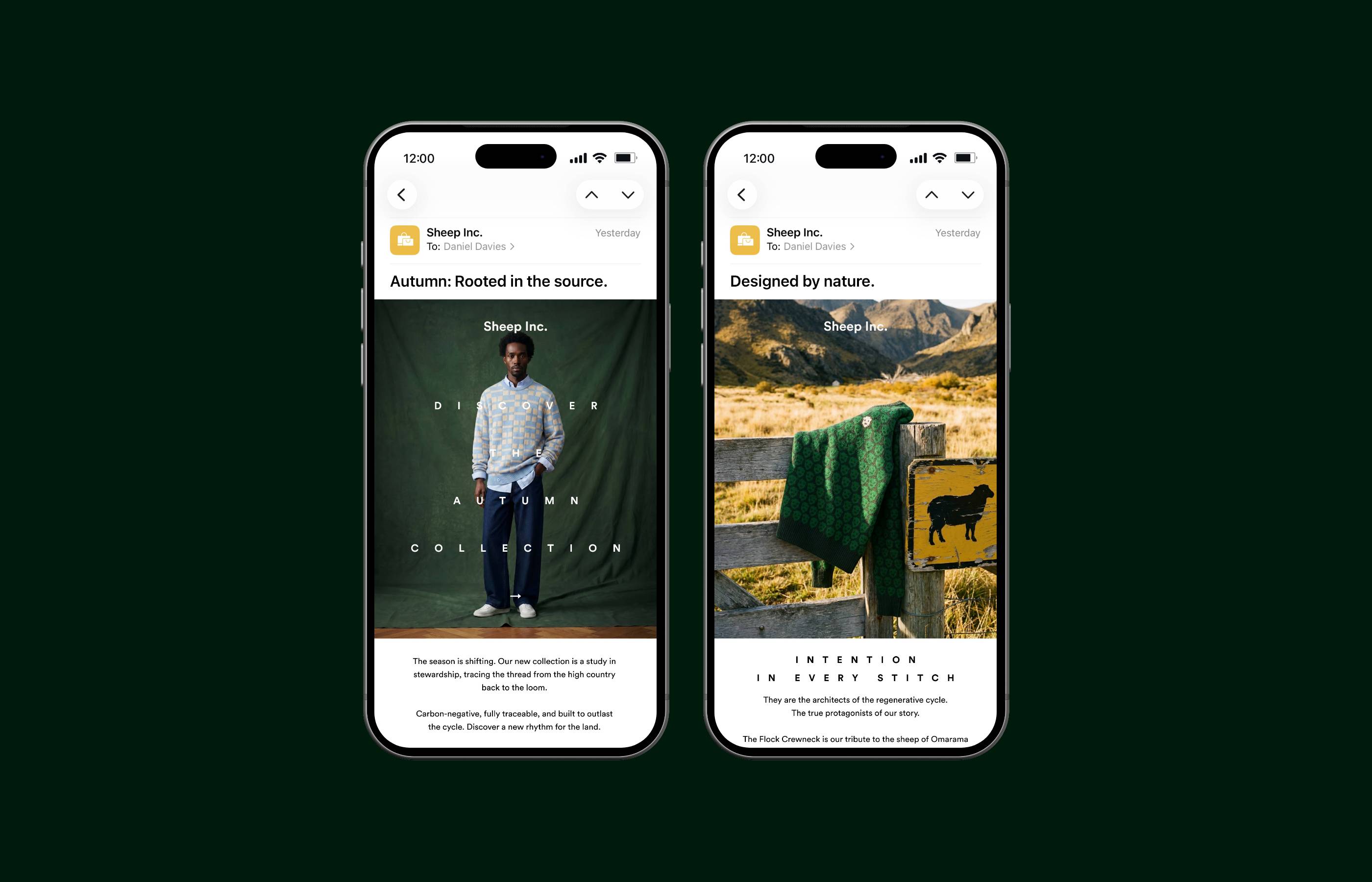Sheep Inc. Autumn Collection — Email Campaign