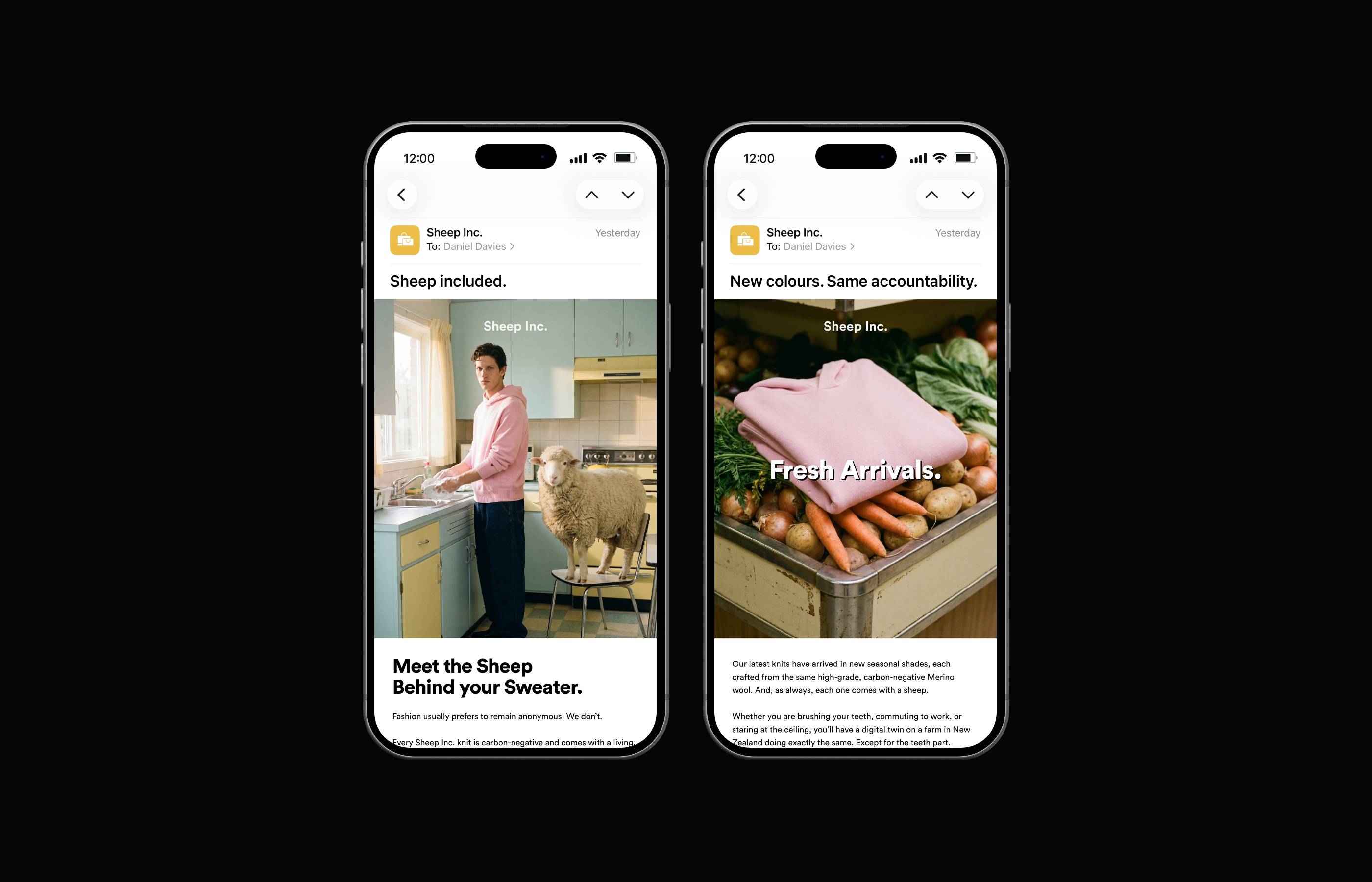 Sheep Included — email campaign designs