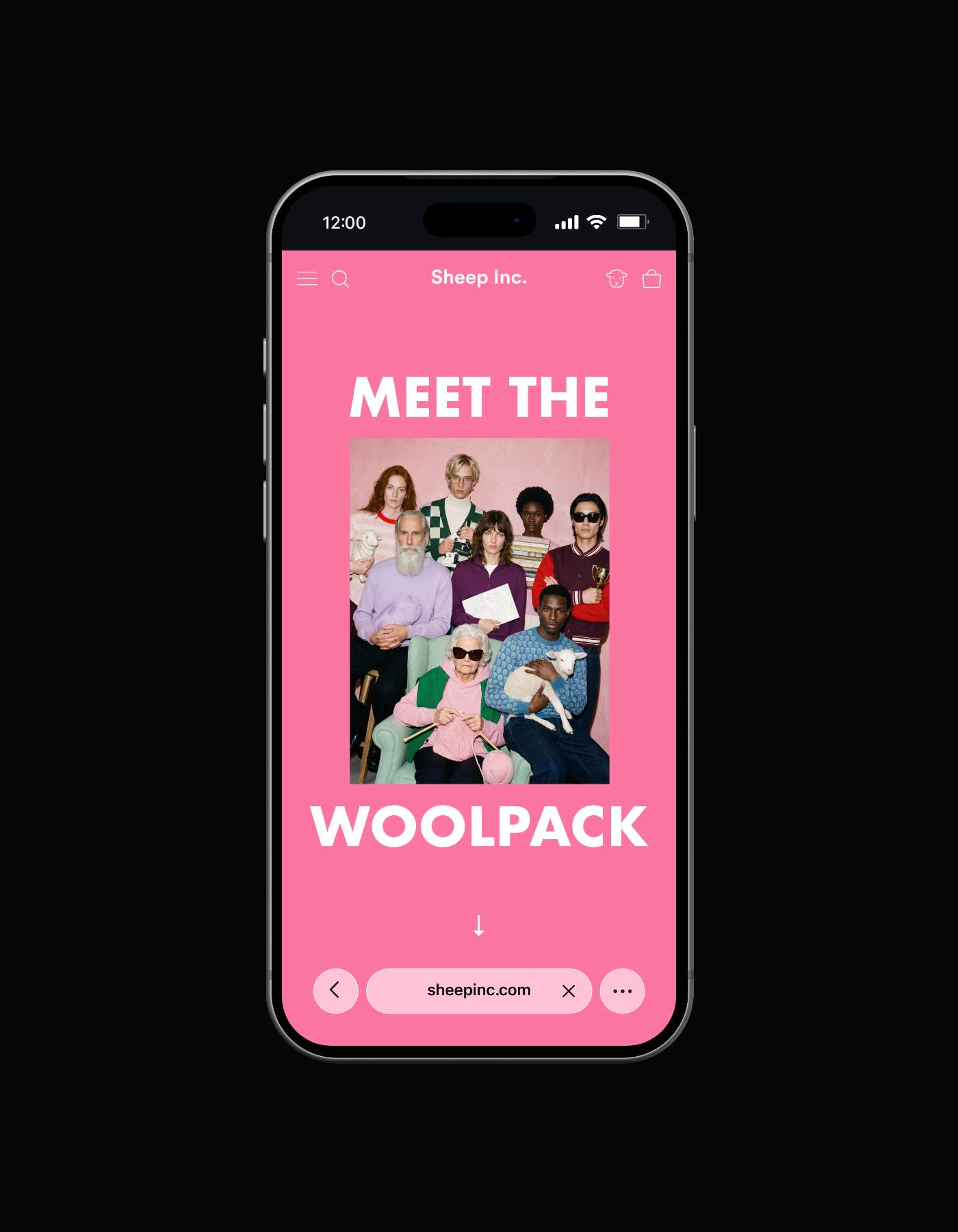 Meet The Woolpack — lookbook on mobile